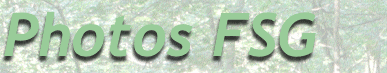 my great site