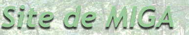 my great site