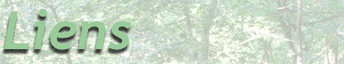 my great site
